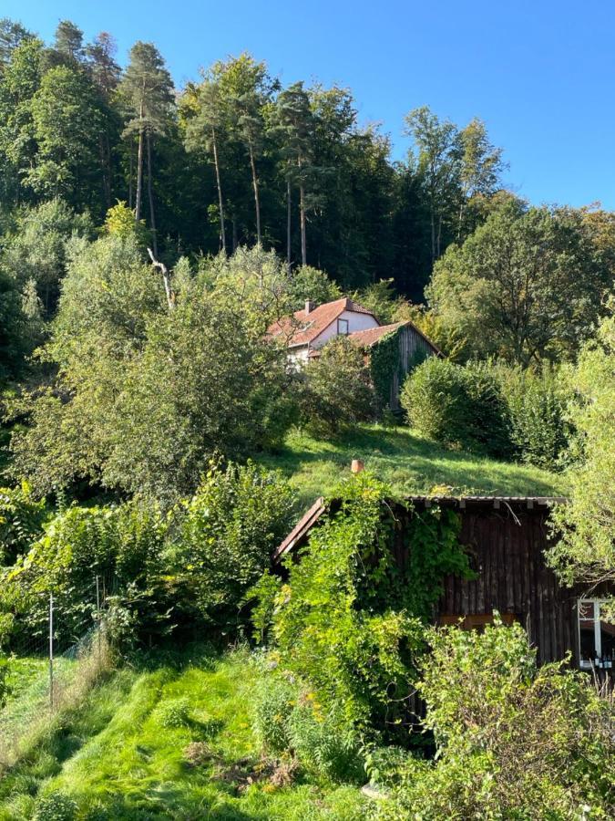 Mon Refuge En Vasgovie Daire Meisenthal Dış mekan fotoğraf