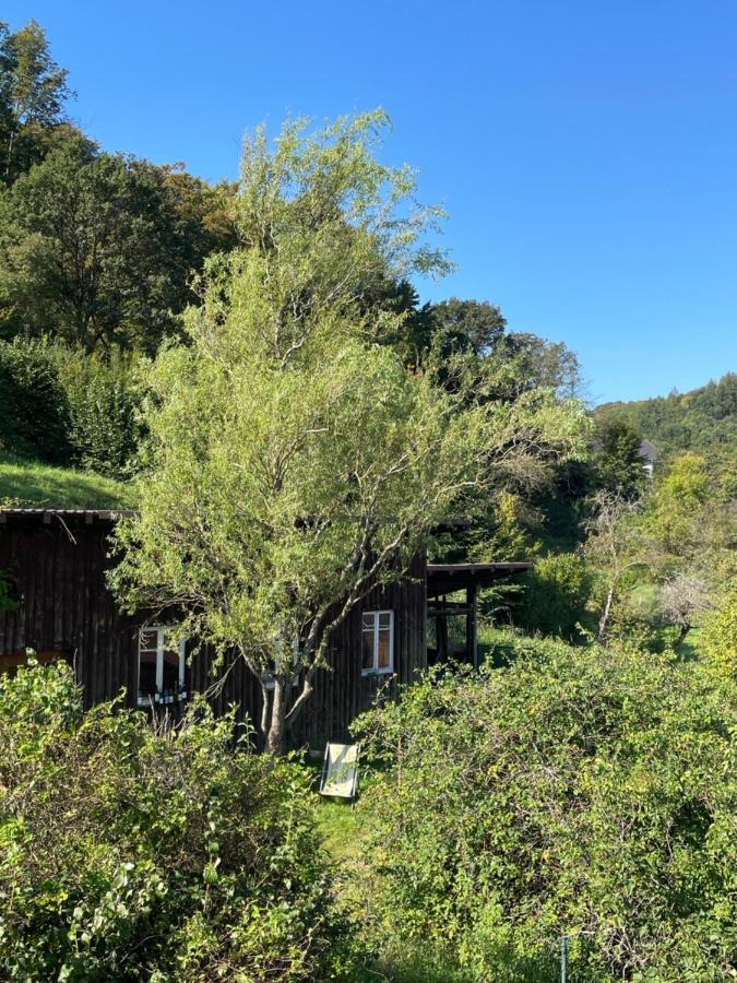 Mon Refuge En Vasgovie Daire Meisenthal Dış mekan fotoğraf