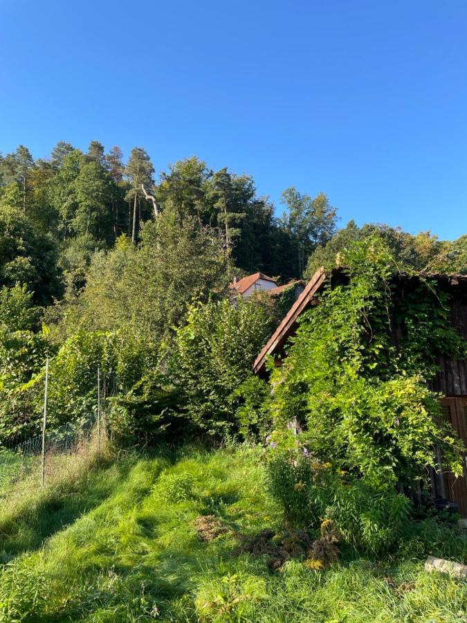 Mon Refuge En Vasgovie Daire Meisenthal Dış mekan fotoğraf